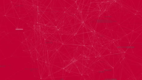 animation with colorful blocks and interconnected lines on red background