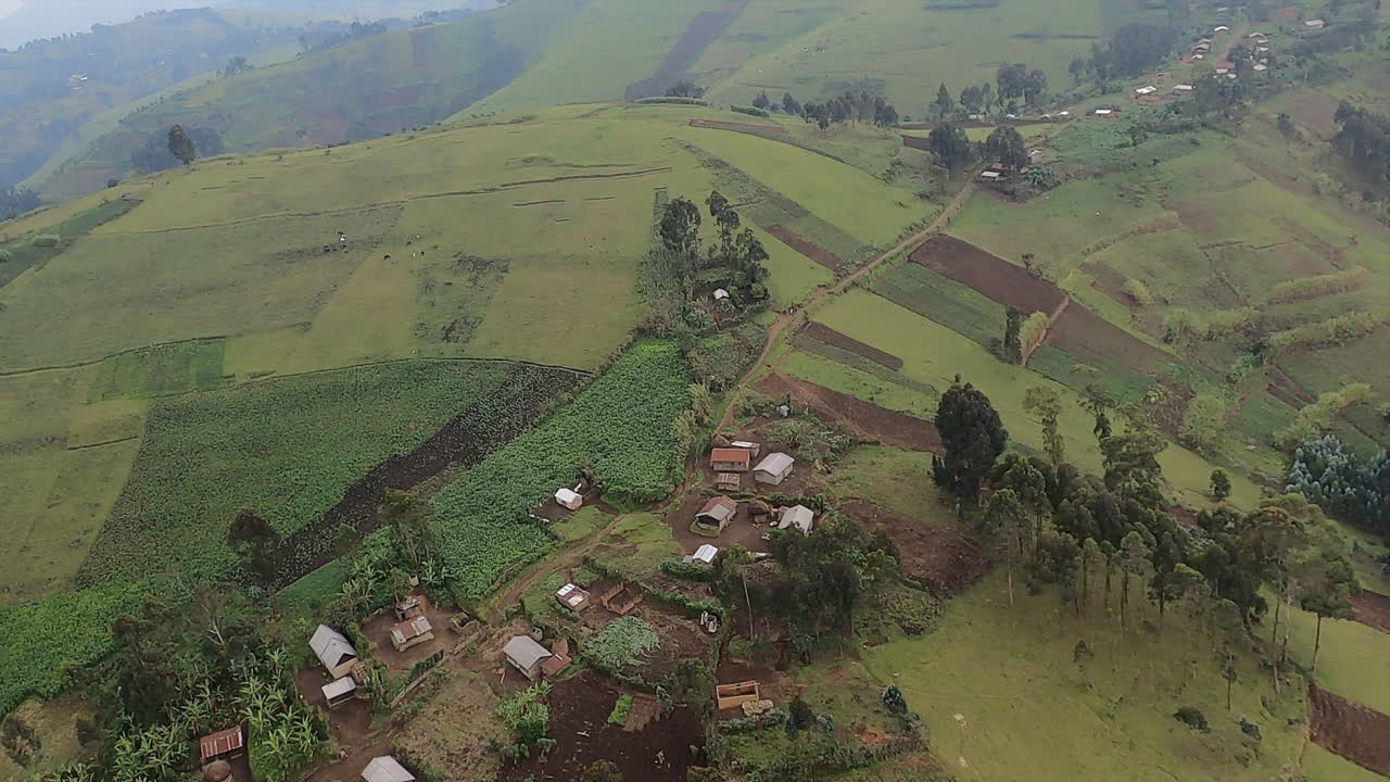 bajo vuelo aéreo brumoso, campos de cultivo agrícola montañosos empinados en congo, áfrica