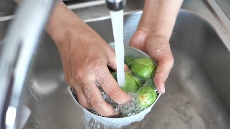 washing brussels sprouts under a tap