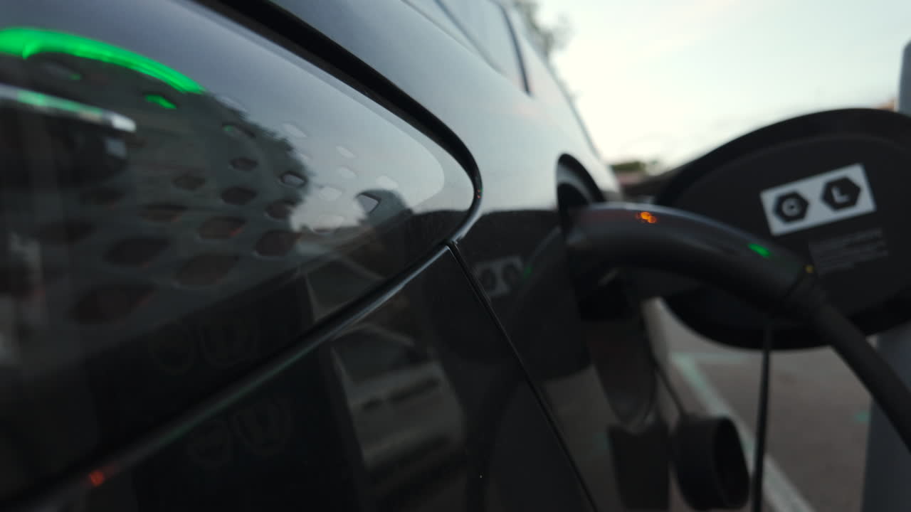 Close up of a transparent jellyfish floating in shallow clear water with sunlight reflections