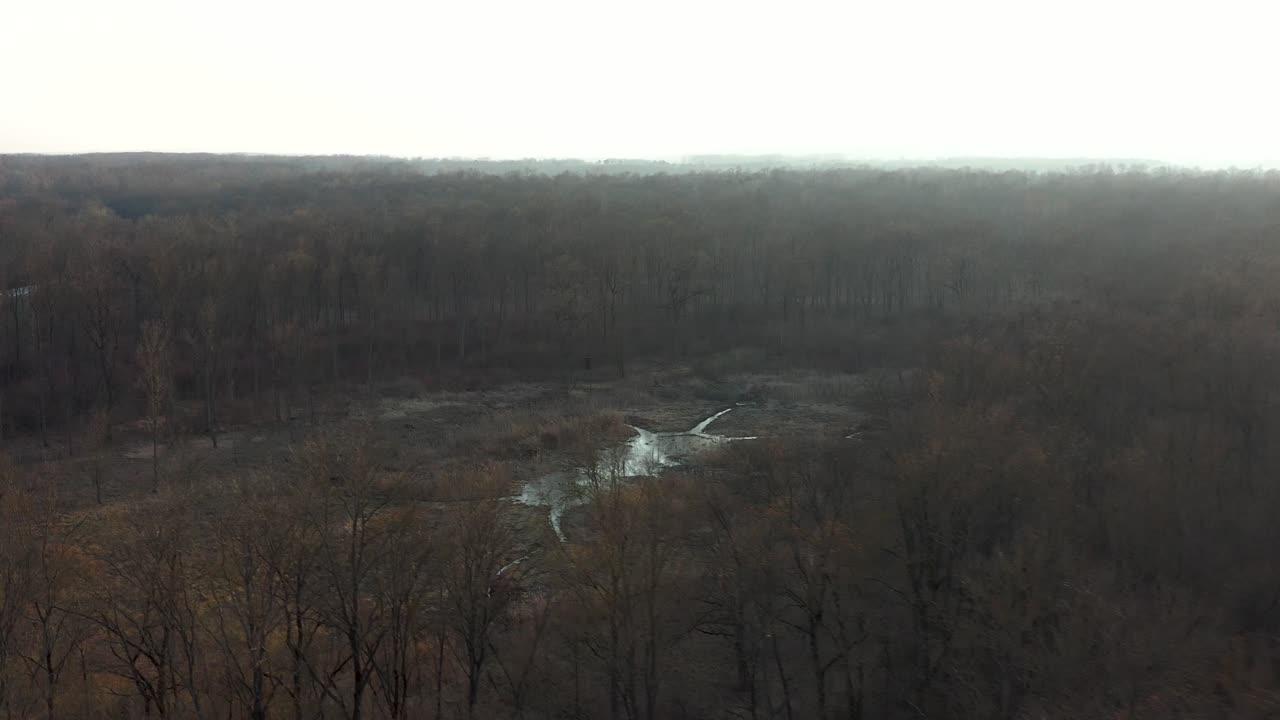 [drone] empuje sobre los árboles revelando un pantano en medio del bosque en primavera