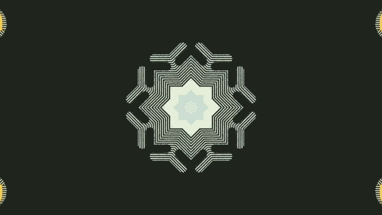 검정색 배경에서 열리는 별 꽃 - 애니메이션