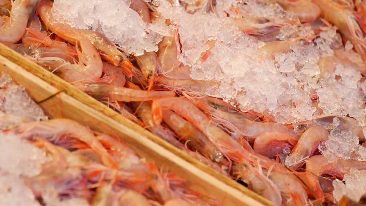 시장 에서 신선 한 새우