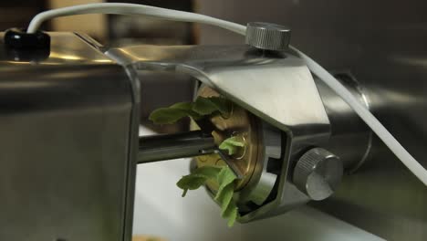 making green pasta with a pasta machine