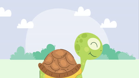 animación de personajes de tortuga de pie