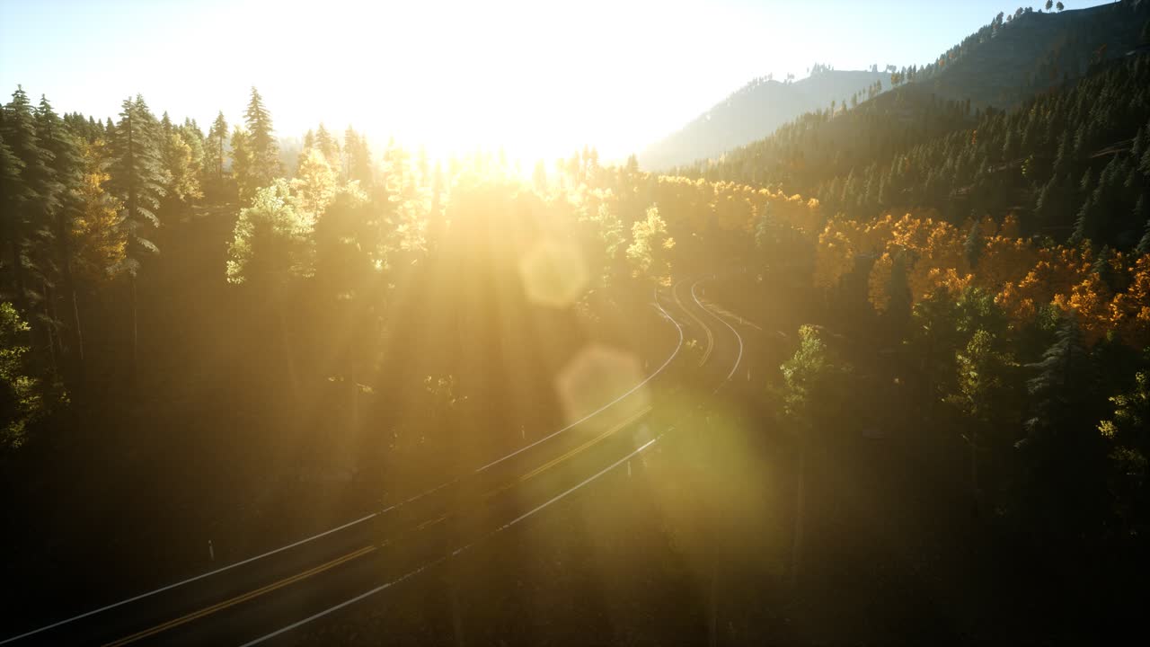 해질녘 산에 있는 소나무 숲 위로 공중 드론 보기 비행