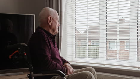 elderly man in wheelchair looking out window