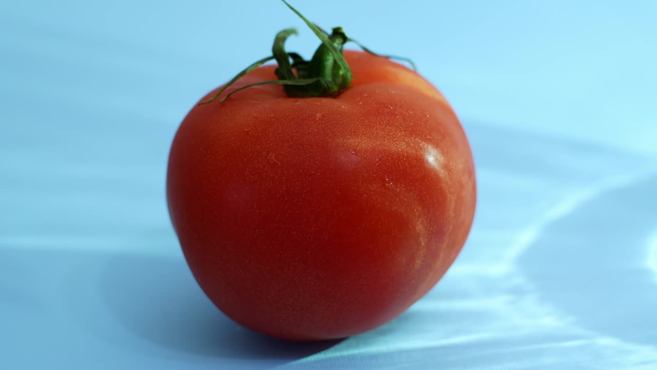 파란 바탕에 은 은 토마토, 유기농 채소