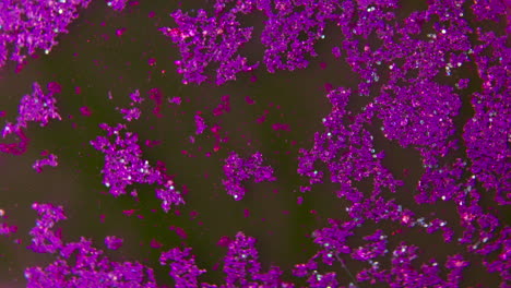 purple glitter texture close-up