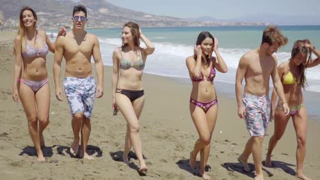 grupo de amigos caminando juntos en la playa soleada