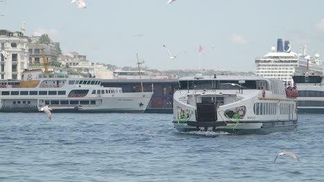 ferries and seagulls on the bosphorus strait in istanbul