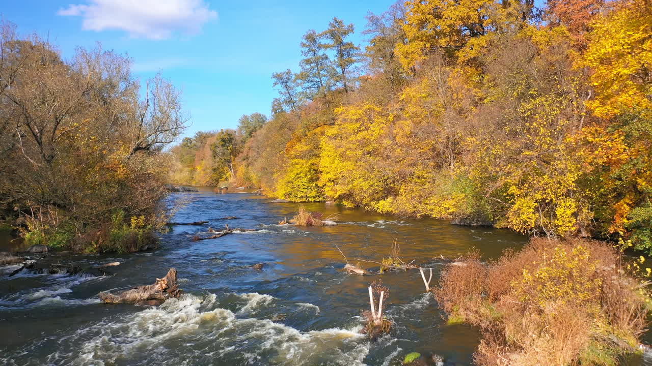 Aerial Flight Over Autumn River. Aerial flight over autumn landscape along river