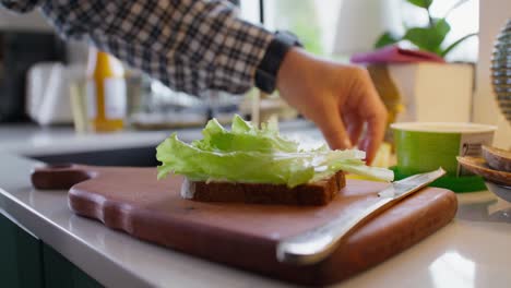 preparing a sandwich