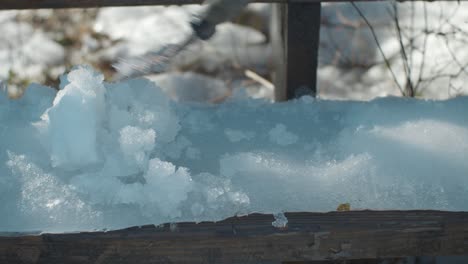 scrapping ice on a stair step in the winter - close up