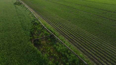 Expansive-farmland-in-dardanelle,-ar-with-irrigation-system,-lush-greenery,-aerial-view