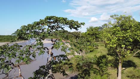 Landschaft-Mit-Dem-Fluss-Entdecken