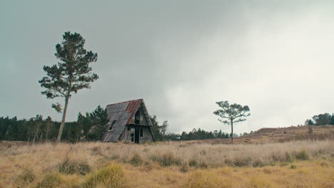 Abandoned-zinc-roofed-triangle-log-cabin-in-a-field-of-serrated-tussock-grass-and-caribbean-pine-trees-in-the-mountains-with-cloudy-sky