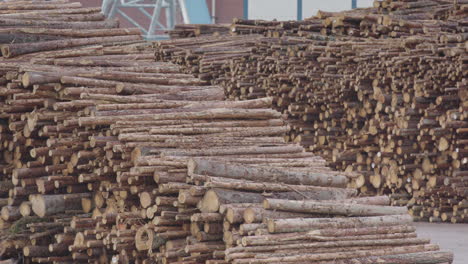ZOOM-OUT-Stacked-chopped-timber-waiting-to-enter-a-factory-in-Sweden