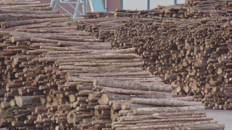 zoom out stacked chopped timber waiting to enter a factory in sweden