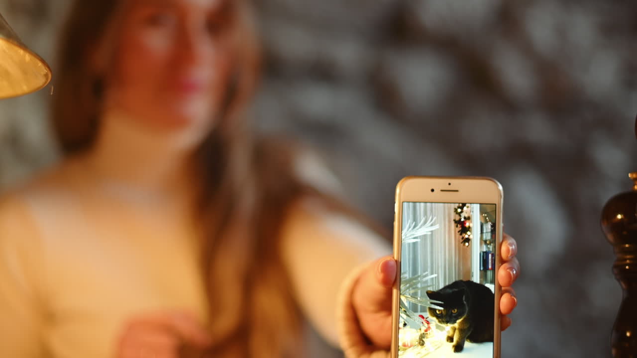Donna che mostra la foto di un gatto British Shorthair sul suo telefono in un ristorante