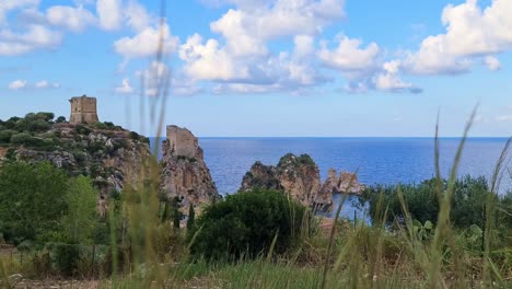 hierba movida por el viento con pilas o farallones de scopello en el fondo, sicilia