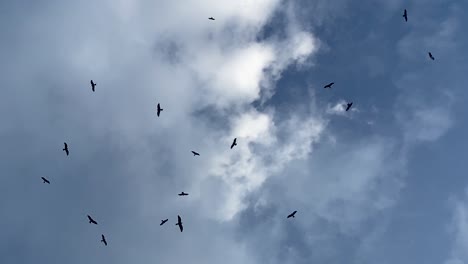 los pájaros vuelan de las nubes grises al cielo azul más brillante, la promesa esperanzadora se ilumina más adelante