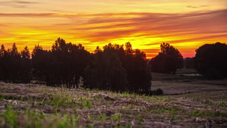 timelapse of misty landscape sunrise in orange