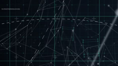 animación de la red de conexiones con la red