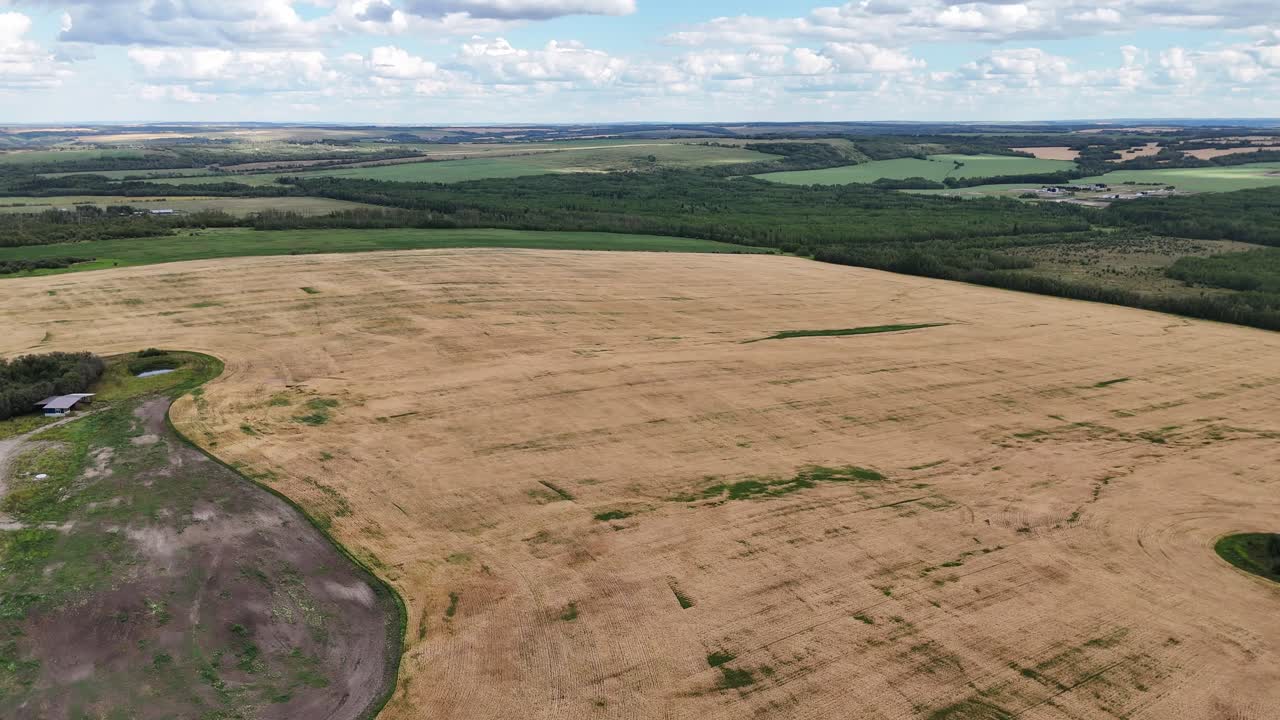 An expansive aerial perspective showcases a golden wheat field ready for harvest, dotted with small ponds and a distant farmhouse, under a partly cloudy sky in Canada