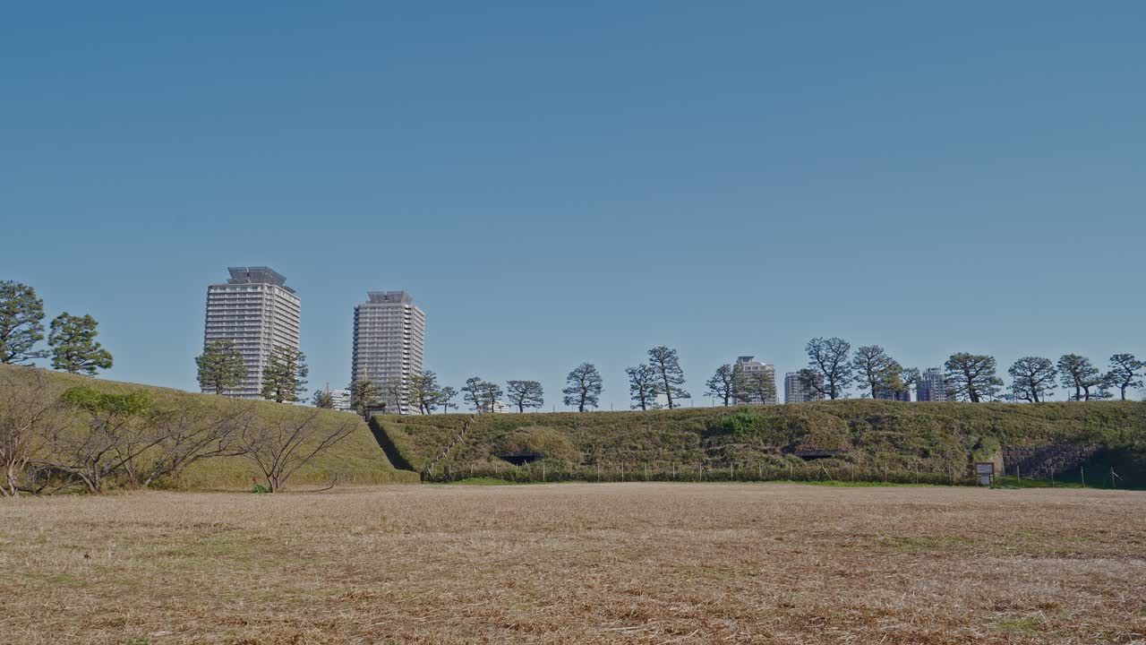 El terraplén histórico del Parque Daiba se eleva desde un campo de hierba seca bajo un cielo azul claro, con pinos a lo largo del terraplén y dos rascacielos modernos detrás, capturada en una toma panorámica estática.