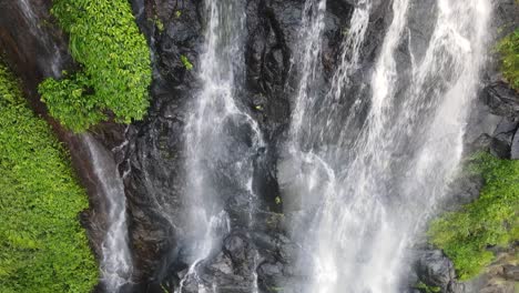 vista única de drones de las cataratas morans ubicadas en las selvas tropicales de gondwana en la región sureste de queensland, australia