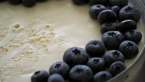 detailed close up of delicious cheesecake with blueberries on top served with yummy champagne and a sparkling wine bottle in a kitchen