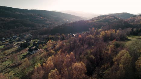 Aerial-shot-of-colorful-autumn-forest-at-sunset