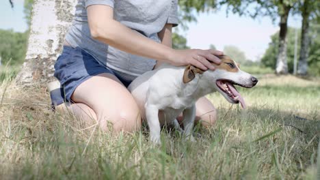 woman with her dog on the grass