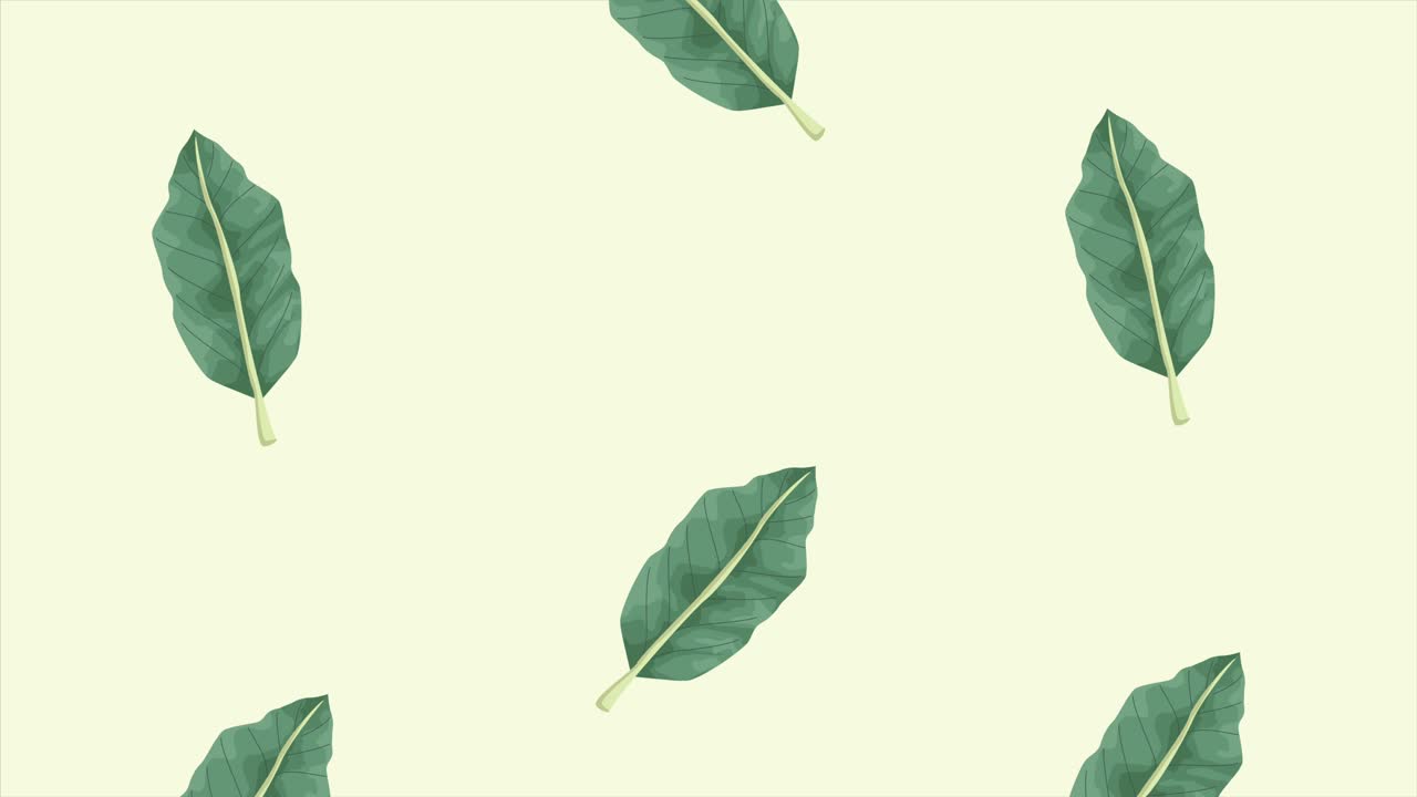 hojas exóticas tropicales ecología patrón de animación fondo