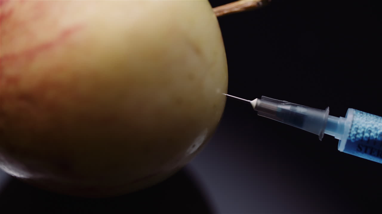 генетическая модификация продуктов питания сирингл введение жидкости в яблоко гмо модификация концепция 4