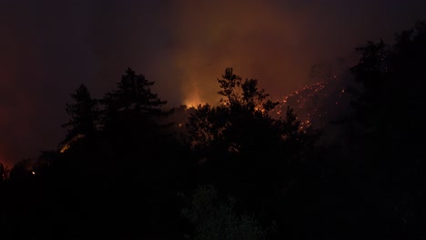 fire burns up large hillside