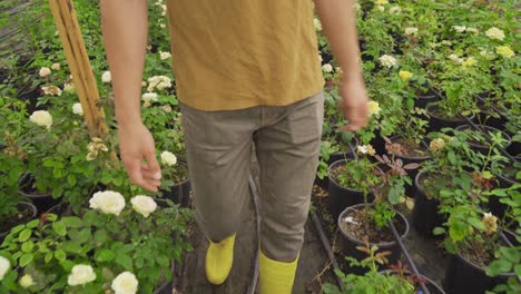 gardener walking in flower shop.