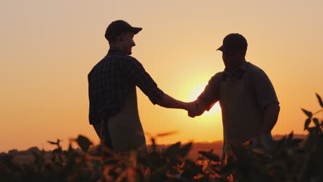 An-Elderly-Farmer-Shakes-Hands-With-A-Young-Colleague-Smile-Positive-Emotions