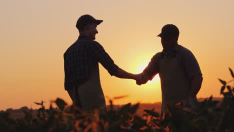 an elderly farmer shakes hands with a young colleague smile positive emotions