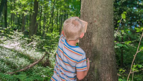 young blonde boy in the woods, learning about environment while exploring and playing different games