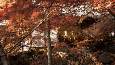 looking through the orange momiji leaves in the autumn season with a temple in the distance in kyoto, japan soft lighting