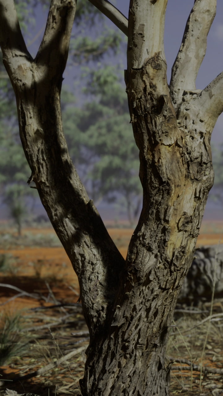 Tree branches in a forest area during daytime with open space
