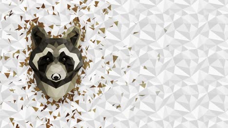 polygonal raccoon background. animal head. low polygon loop animation. geometric wildlife. polygonal animal portrait.