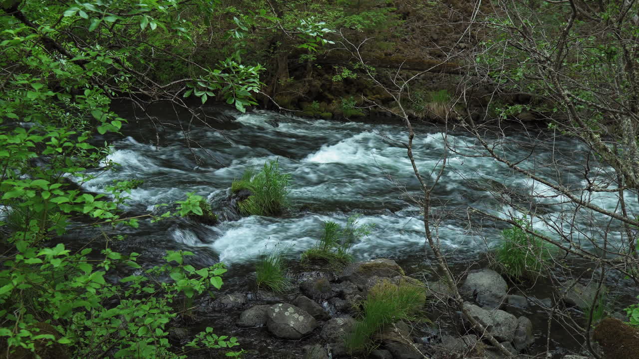 Stream water flowing on a rocky ground through a forest, near Burney Falls, California