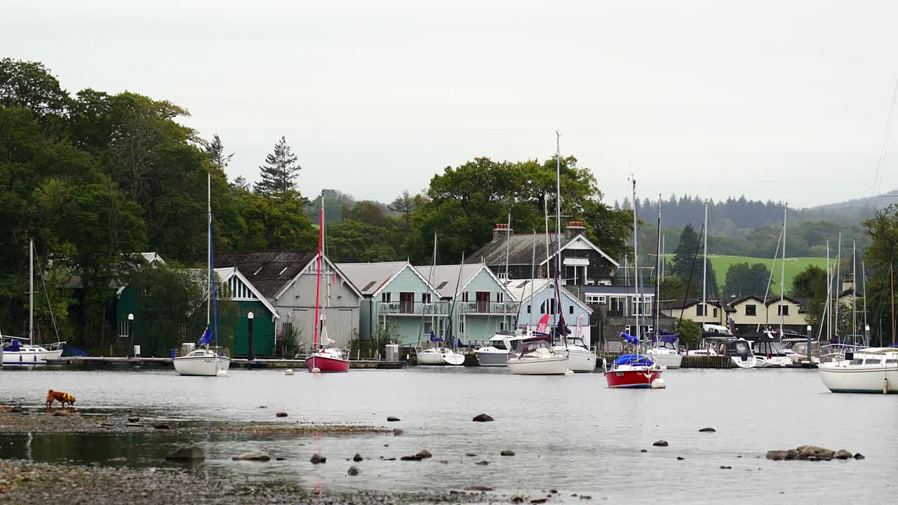 un cobertizo para botes con yates amarrados en las tranquilas orillas del lago windermere en el parque nacional del distrito de los lagos en cumbria, inglaterra, reino unido