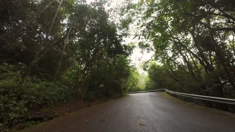 conduciendo a través de la carretera del parque nacional, denso bosque, vegetación exuberante en la isla de mahe, seychelles 60 fps 8