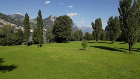 Paisaje-De-Los-Alpes-En-Verano-En-Suiza-Lado-Del-Lago-Naturaleza-Campos-Verdes-Y-árboles-De-Hojas-Anchas-En-Un-Bosque-De-Pinos-En-Las-Tierras-Altas-Alpinas-En-La-Maravillosa-Walensee-Weesen-Walenstadt-Amden-Vista-Panorámica-Del-Atardecer