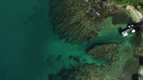 aerial top view on coral reef caribbean sea