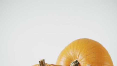 Composition-of-halloween-orange-pumpkins-against-white-background